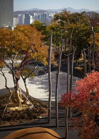 Secret Garden view from above