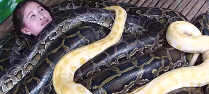 This zoo offers visitors python massages
