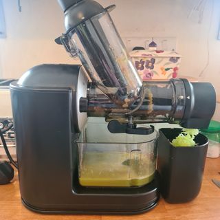 Philips Viva Cold Press Masticating Slow Juicer with celery