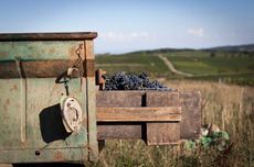 C&ocirc;te Chalonnaise & C&ocirc;te M&acirc;connais 2017