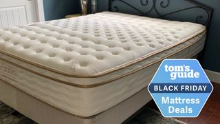 Saatva mattress shown in bedroom