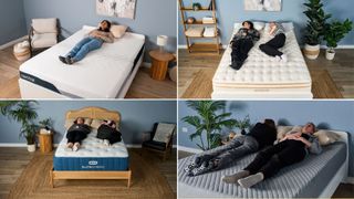 The composite image shows the Nectar Premier Memory Foam, Saatva Classic, Bear Elite Hybrid and Siena Signature, all of which we rate as our best mattresses for back sleepers
