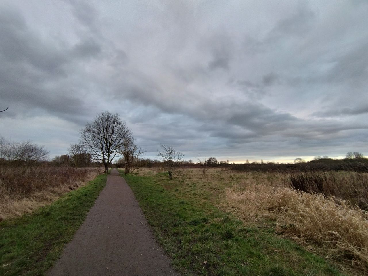 A Xiaomi Redmi Note 11 Pro 5G camera sample