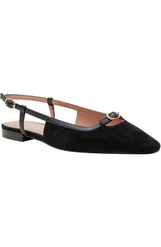 Cassidy Pointed Toe Slingback Flat