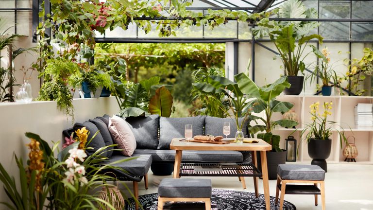 conservatory plants in a glazed room with an outdoor corner sofa