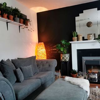 living room black and white walls with potted plant