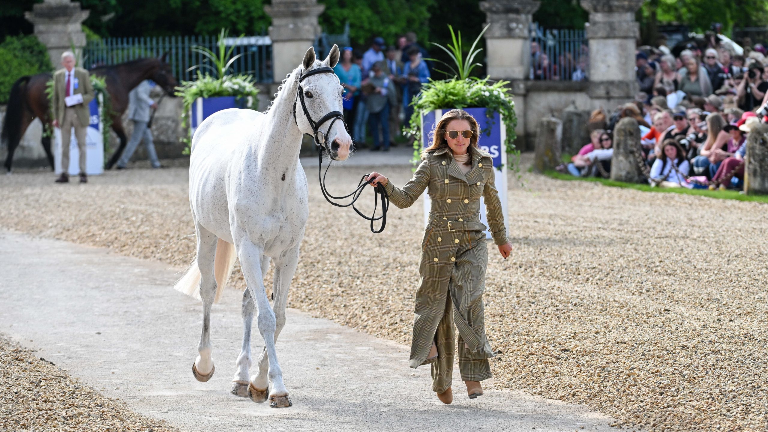 Badminton Horse Trials trot-up pictures: Jessica Phoenix and Wabbit