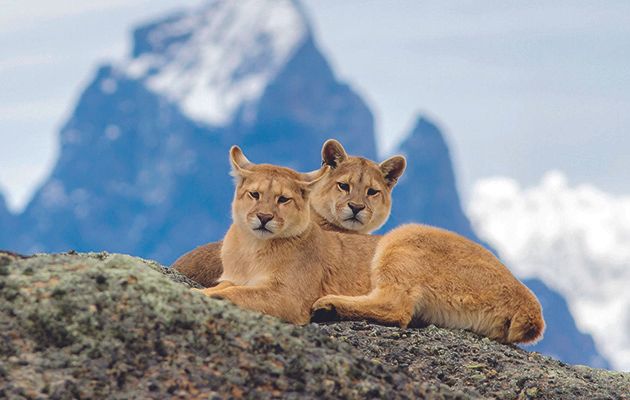 Another chance to see this stunning three-part natural world series about the region of Patagonia that lies at the tail end of South America