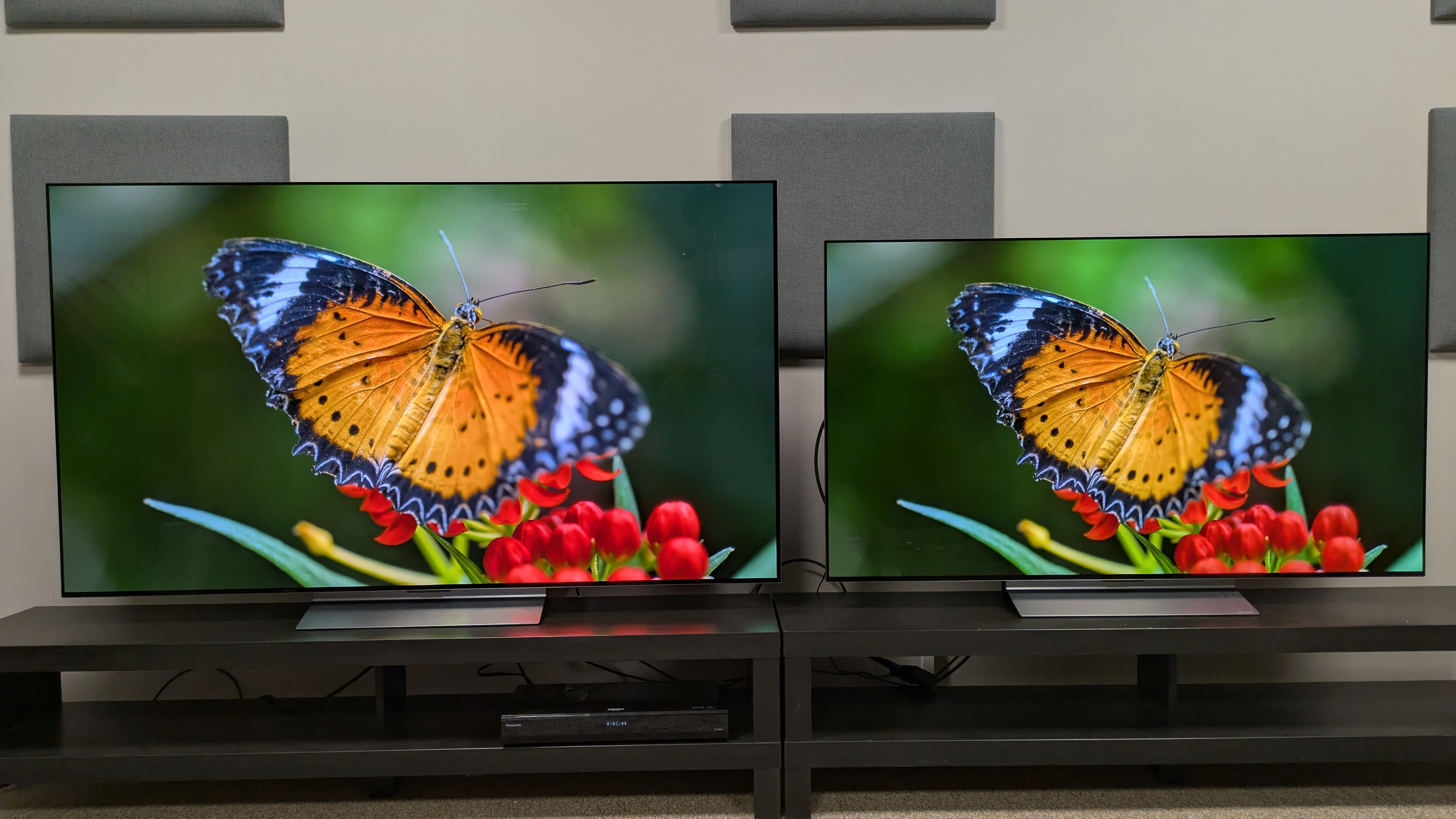 LG C6 (left) and LG C5 (right) OLED TVs showing an orange butterfly on screen. Colors again appear brighter and richer on the C6