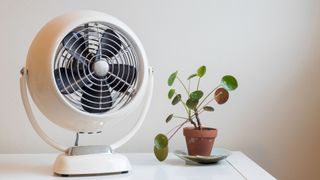 picture of vintage style fan next to houseplant