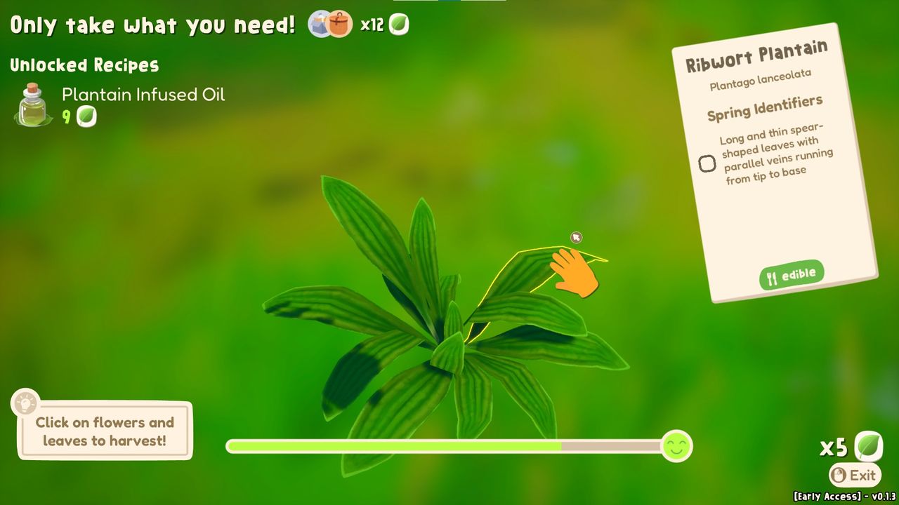 Out and About screenshot showing the harvesting of a Ribwort Plantain, with a hand cursor that can pluck leaves from the plant and a health bar for it shown at the bottom of the screen