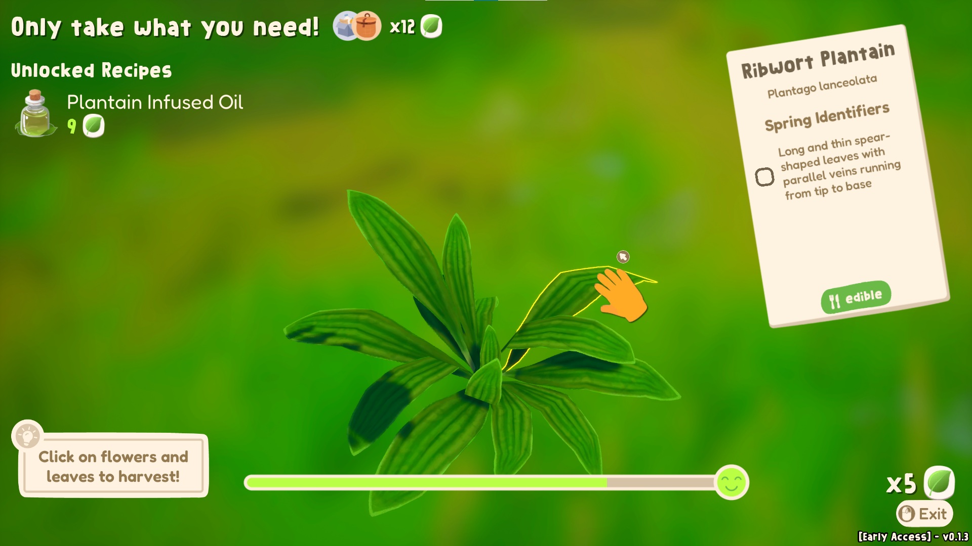 Out and About screenshot showing the harvesting of a Ribwort Plantain, with a hand cursor that can pluck leaves from the plant and a health bar for it shown at the bottom of the screen