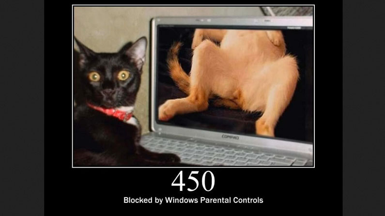 Cat Httperrors HTTP status codes expressed as cats | Creative Bloq
