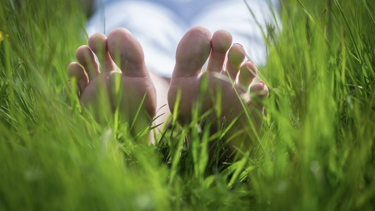 Barefoot in the grass