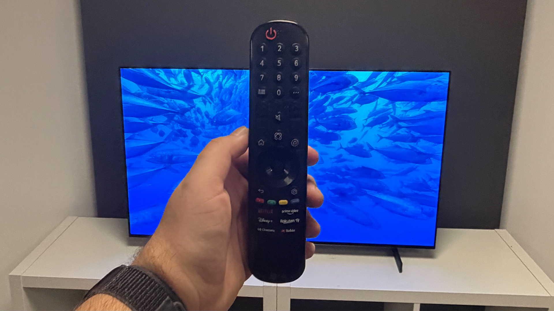 LG C6 42-inch OLED TV remote control held in front of TV