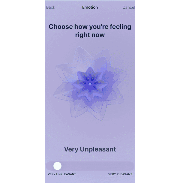 A GIF showing the new Mental wellbeing animations in iOS 17