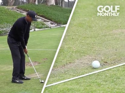 Viral Tiger Woods Practice Video