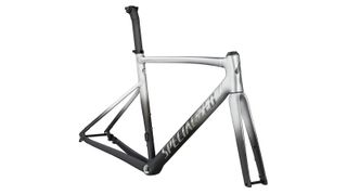 AllezSprintスペシャライズドフレームセット