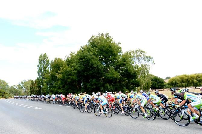 The peloton heads to the finish