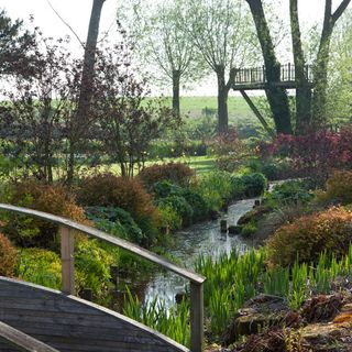 garden area with streamside path