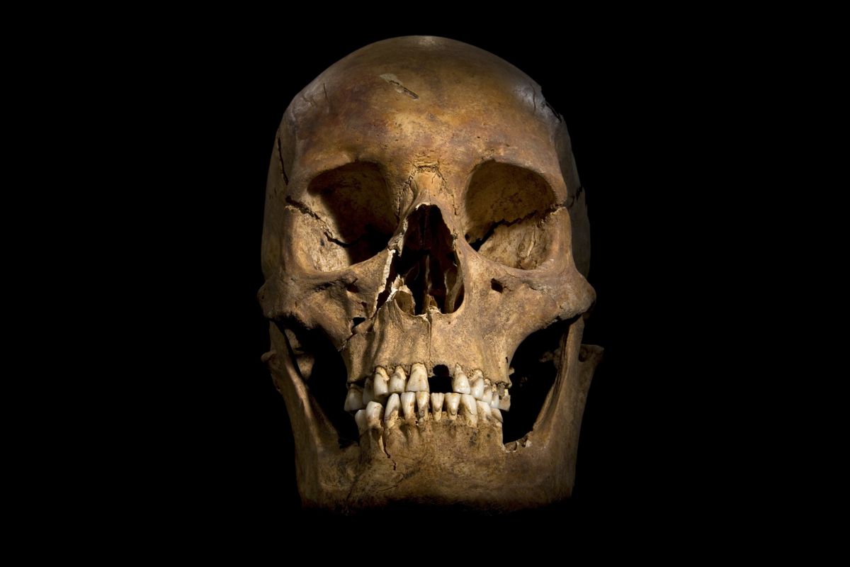 King Richard III&#039;s skull