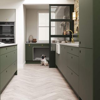 kitchen with white wall and dog