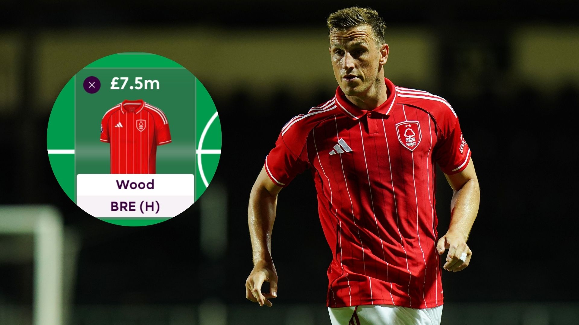Chris Wood scored 200 FPL points last season