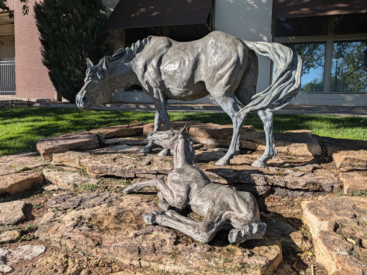 Google Pixel 11 Pro Camera Samples
