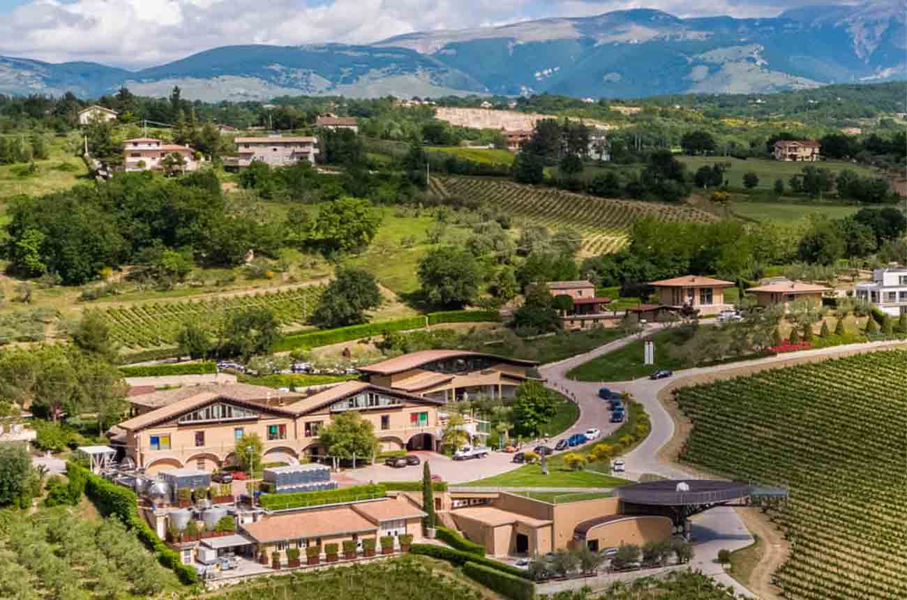 Zaccagnini winery in Abruzzo, Italy