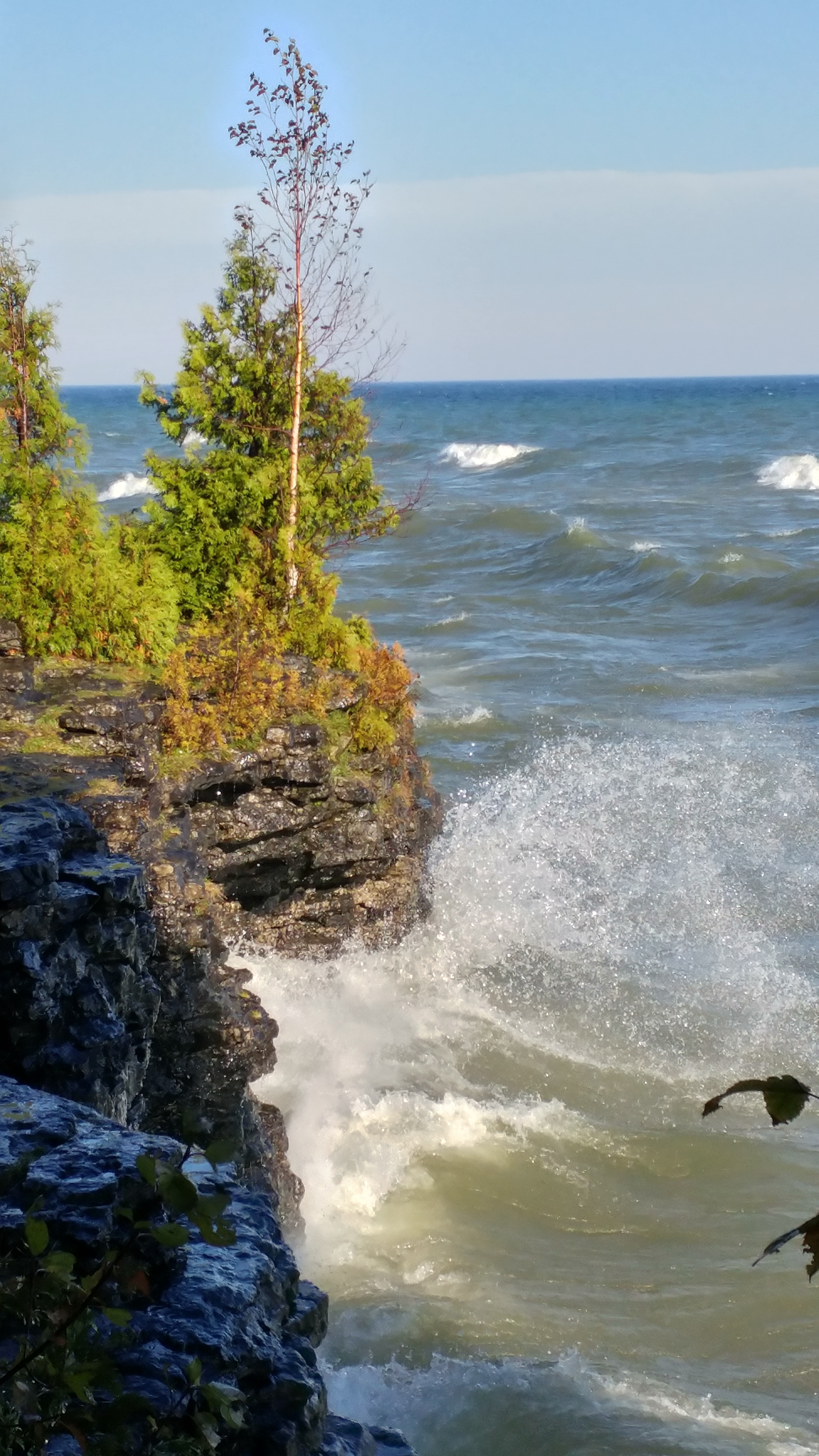 GuruShots - February 2026