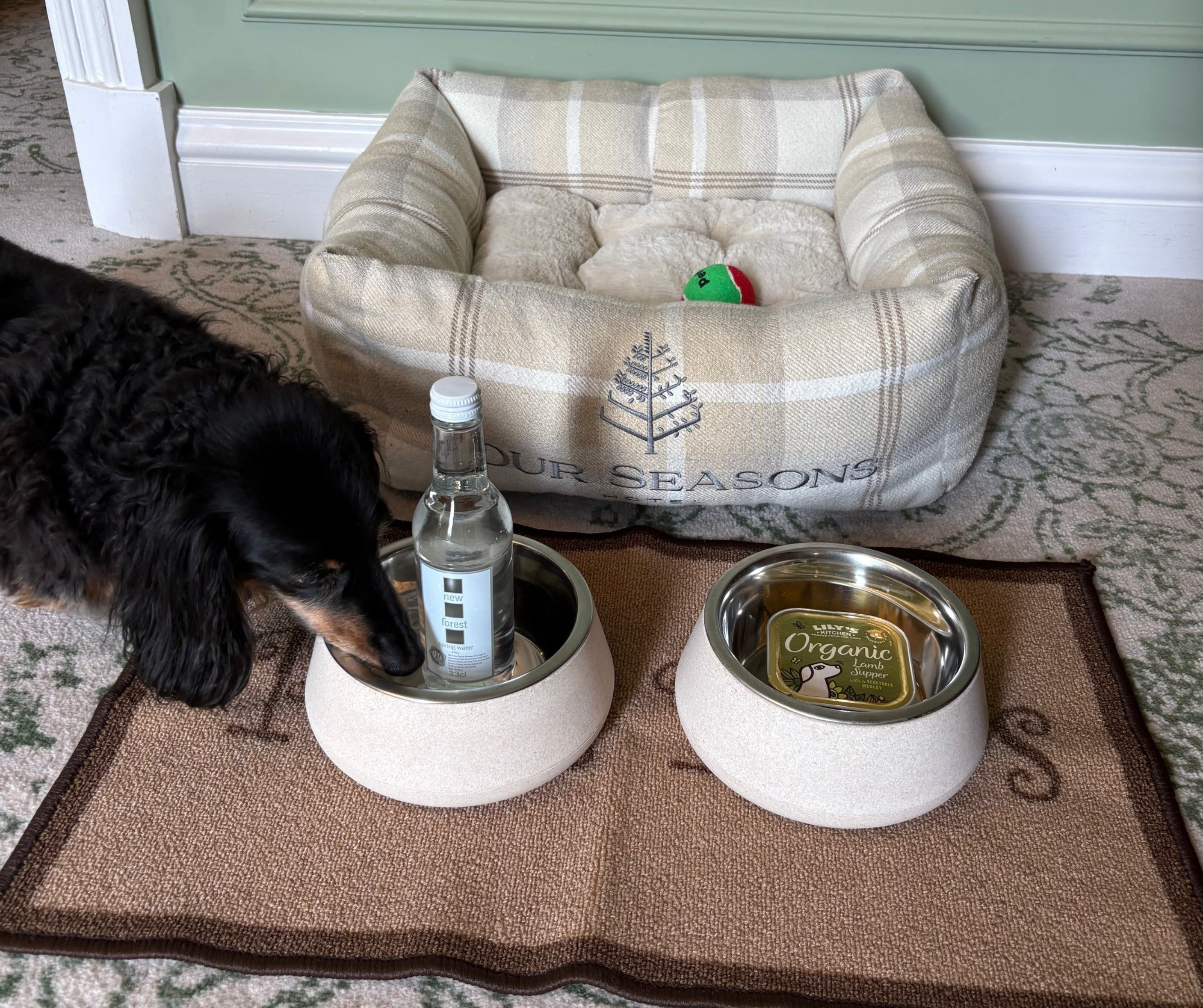 A hotel dog setup featuring a tartan dog bed, stainless steel bowls with water and food, and a bottle of water, as a dachshund drinks beside it.