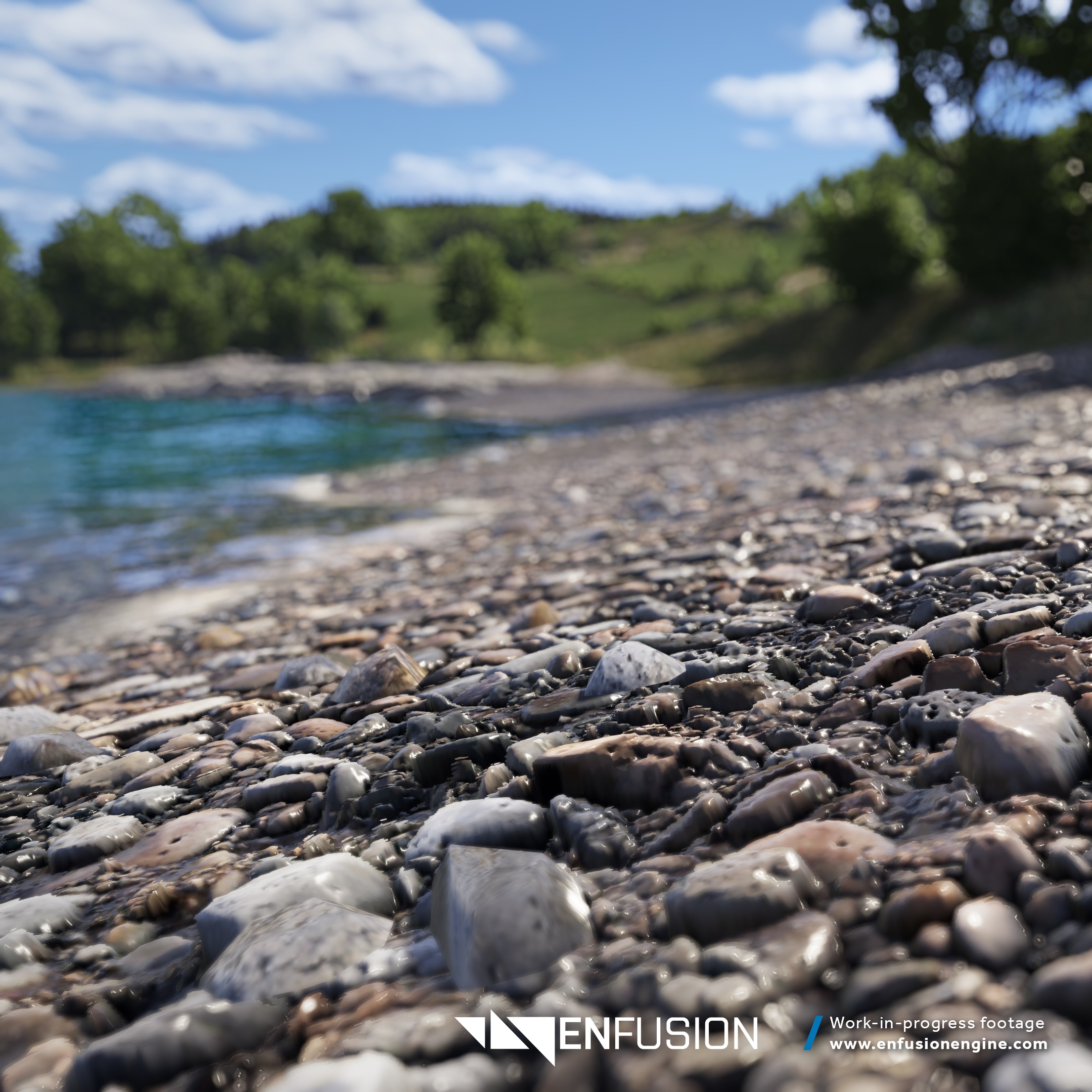 some really nicely rendered pebbles by a pond