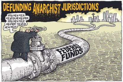 Political Cartoon U.S. Trump anarchist jurisdiction