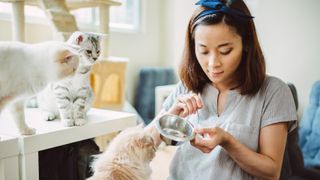 Woman feeding her three cats