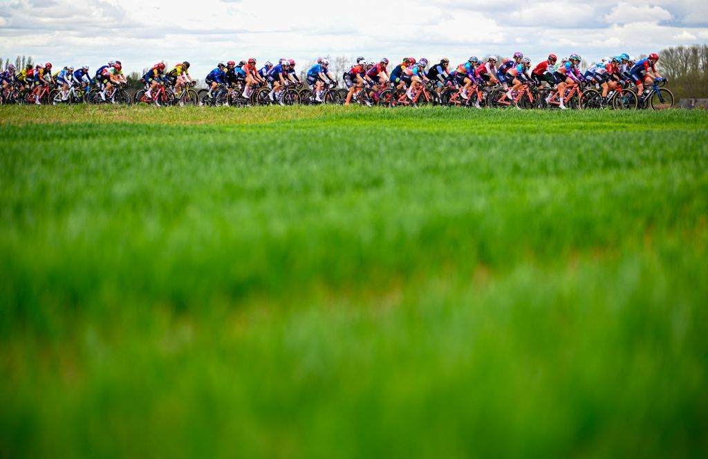 The pack of riders pictured in action during the women's race of the 'Ronde van Vlaanderen/ Tour des Flandres/ Tour of Flanders' one day cycling event, 163km with start and finish in Oudenaarde, Sunday 31 March 2024. BELGA PHOTO JASPER JACOBS (Photo by JASPER JACOBS / BELGA MAG / Belga via AFP)