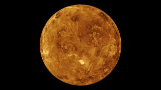 simulation of the surface of Venus, with the Northern Hemisphere displayed