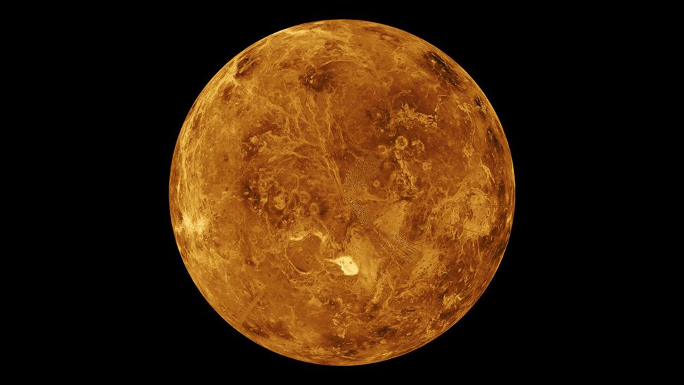 'Grand claims' of life on Venus lack evidence, skeptics say