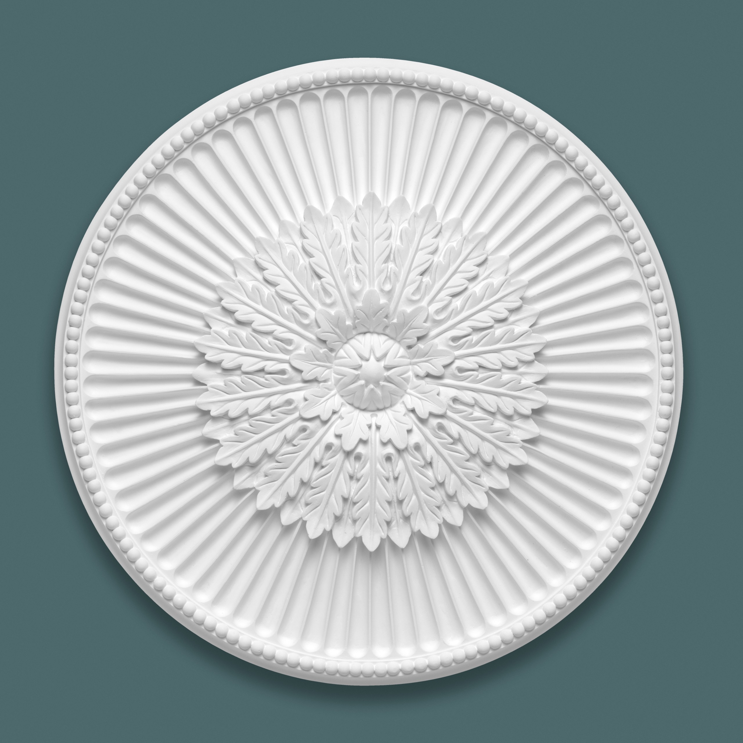 White ceiling rose