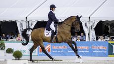 Bubby Upton and Cannavaro hold the overnight lead in the Luhm&uuml;hlen Horse Trials dressage results