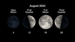 graphic showing four moon phases side by side, the first on left is the new moon on Aug. 4, the first quarter on Aug. 12, the full moon on Aug. 19 nd the third quarter moon on Aug. 26.