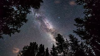 A trio of bright stars can be seen forming a triangle in the night sky framed by the dark silhouettes of trees. The glowing band of the Milky Way can be seen passing through the formation, as can countless dimmer stars.