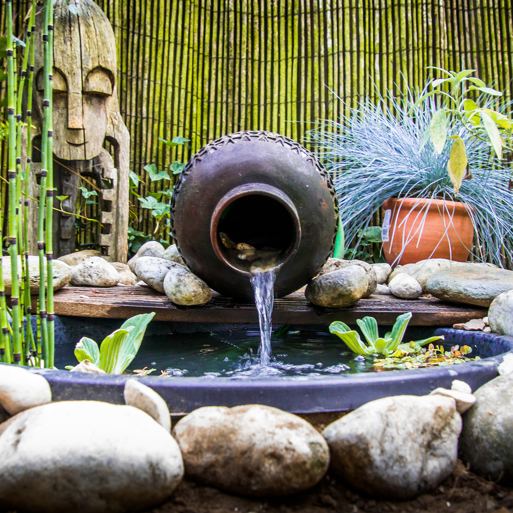 small preformed pond with water feature and plants