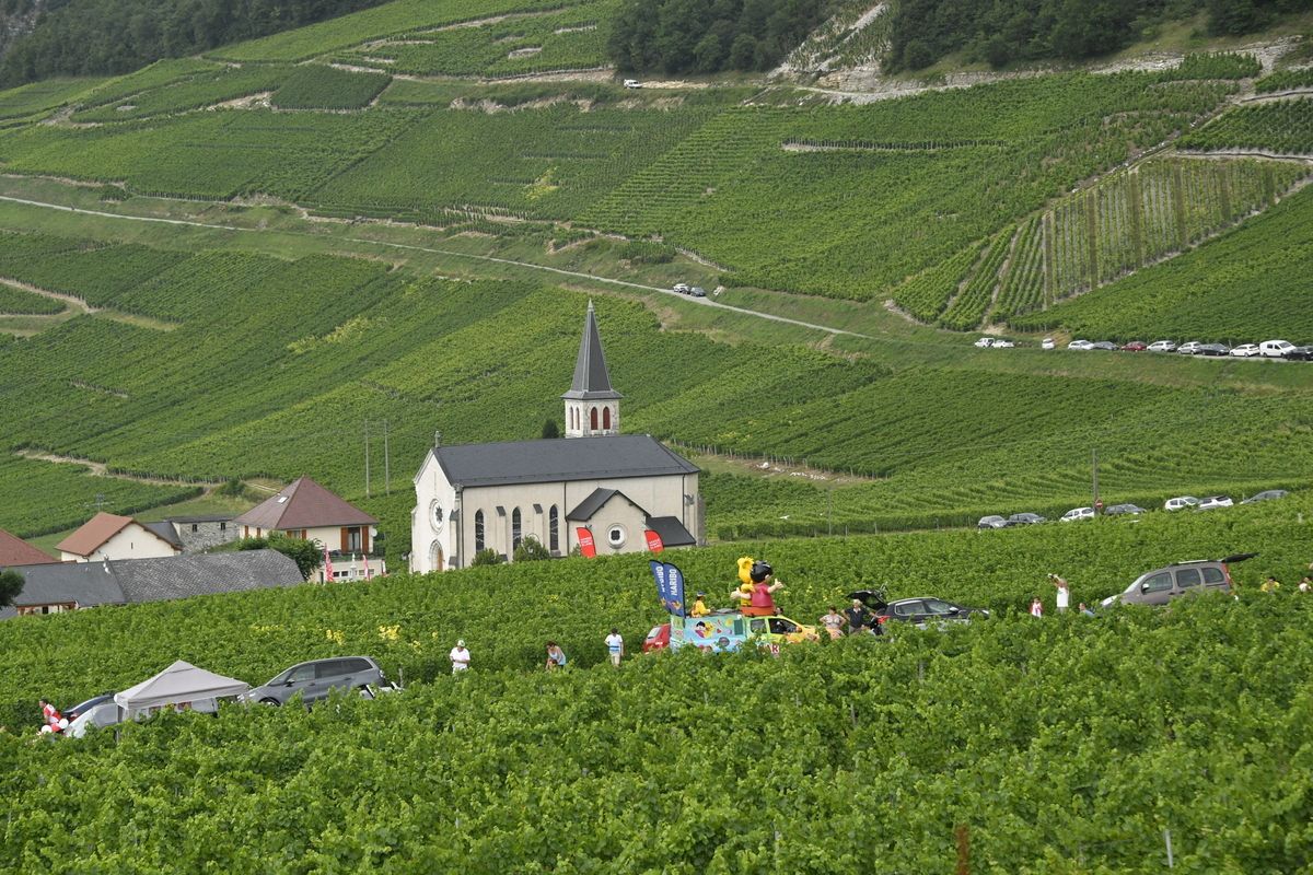 The rolling vineyards of stage 9