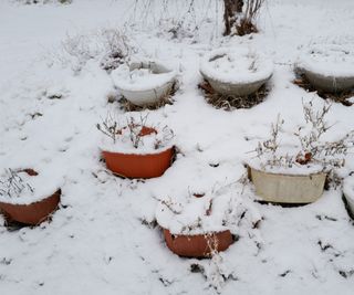 Colored flower pots buried in heavy snow