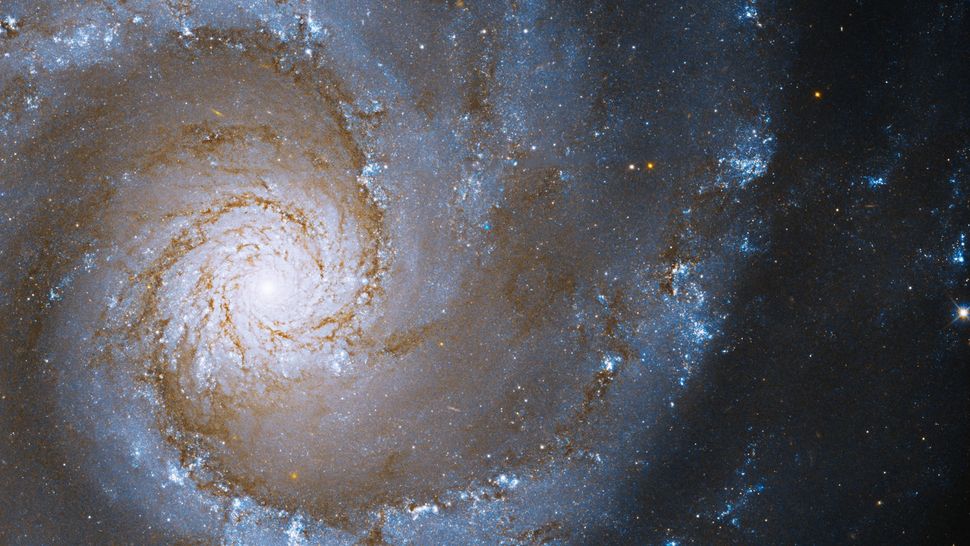 Spectacular Hubble image captures 'grand spiral' galaxy | Space