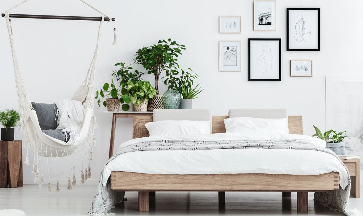 « Elles vous donnent espoir et calme » : les 5 plantes les plus relaxantes pour votre chambre