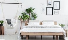 plants in a white bedroom