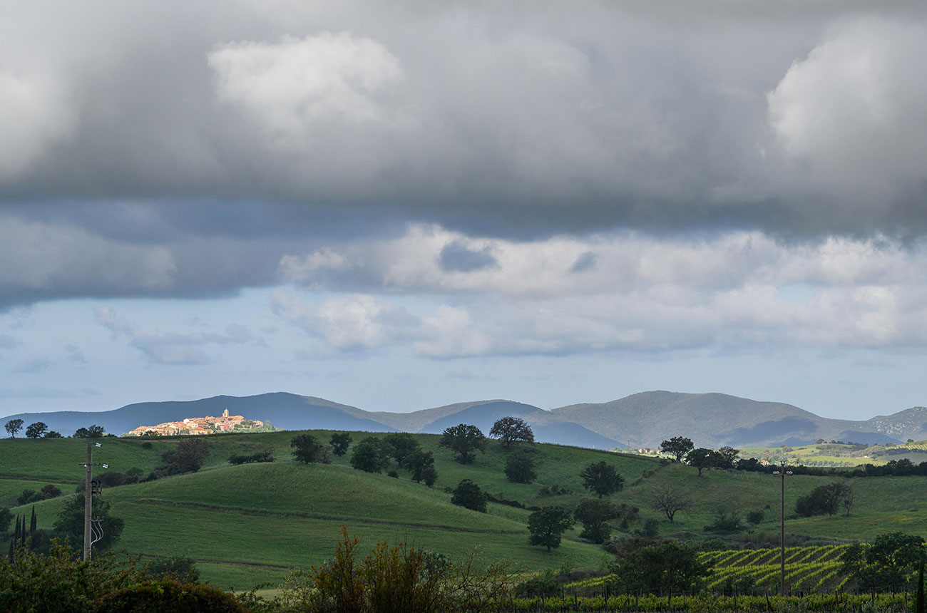 A view to Montiano in Maremma, Tuscany