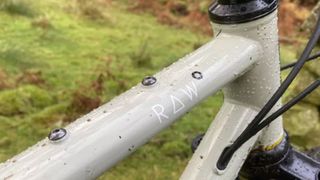 Bike frame material: steel