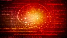 A 2d picture of a brain one a background of binary in red and black